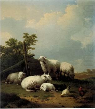 Sheep 125, unknow artist